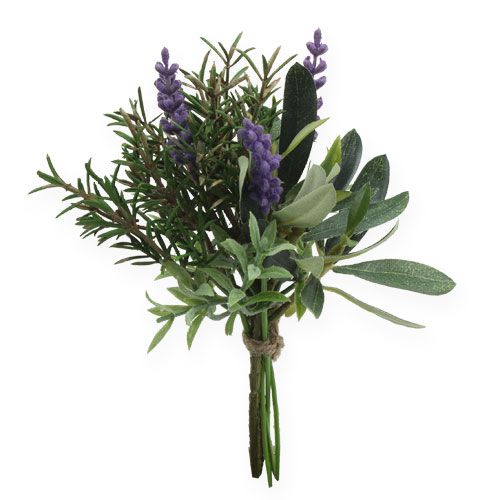 Floristik24 Lavendel-rosmarin haug 20cm