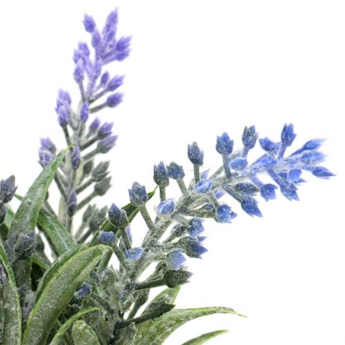 Floristik24 Lavendel i krukke H15cm