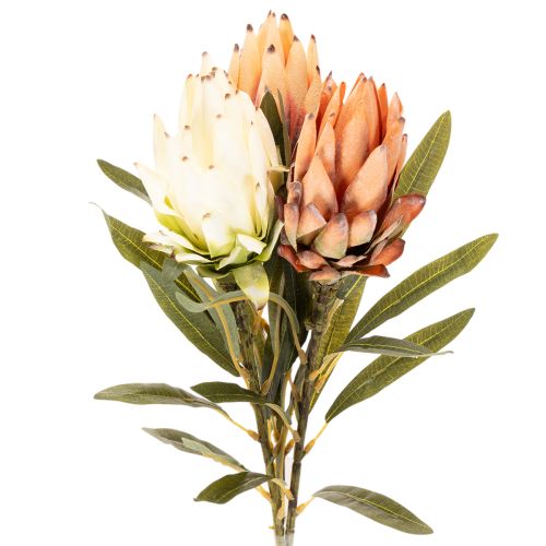 Kunstig Protea Leucadendron-blomst med lang stilk, 65 cm, 3 stk. kjøpe | Floristik24.no