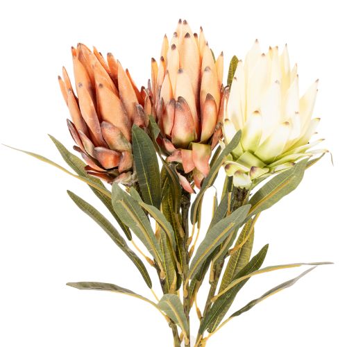 Kunstig Protea Leucadendron-blomst med lang stilk, 65 cm, 3 stk. | Floristik24.no
