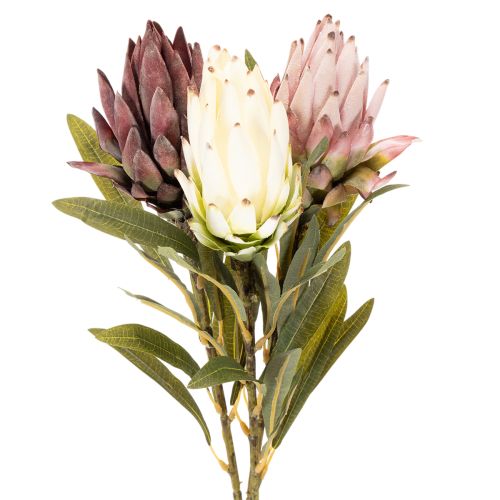 Protea kunstig blomst Leucadendron 100cm 3 stk kjøpe | Floristik24.no