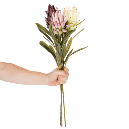 Protea kunstig blomst Leucadendron 100cm 3 stk | Floristik24.no