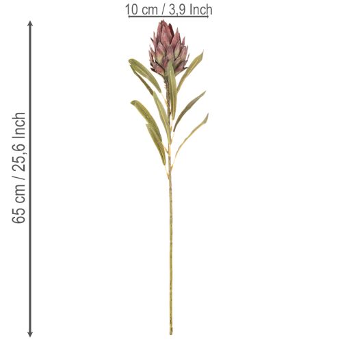 Protea kunstig blomst Leucadendron 100cm 3 stk | Floristik24.no