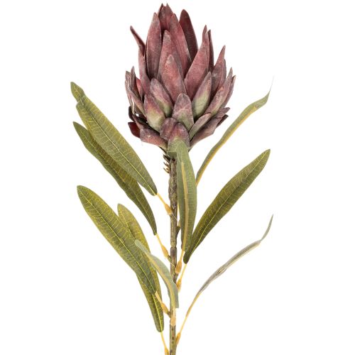 Protea kunstig blomst Leucadendron 100cm 3 stk | Floristik24.no
