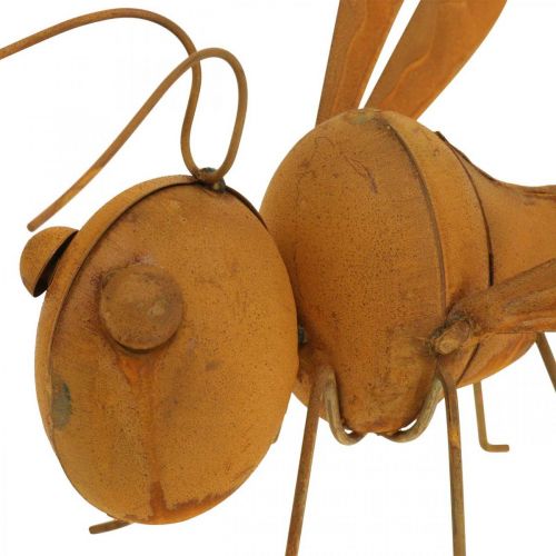 Floristik24 Dekorativ øyenstikker, sengedekorasjon, hagefigur patina L28cm H21cm