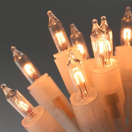 Floristik24 Fairy lights mini 10stk 1,5m for innside transparent/klar