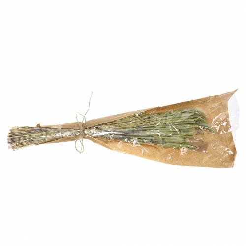 Floristik24 Timotei gress natur 50-60cm 100g