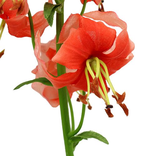 Floristik24 Lilje 87,5 cm laks