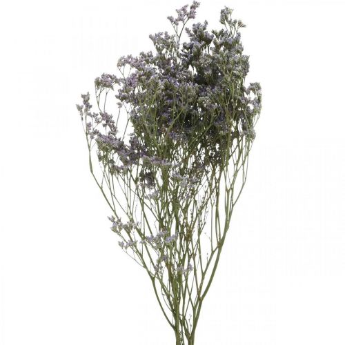 Floristik24 Tørre blomster, Sjølavendel, Statice Tatarica, Sjølavendel, Limoniumfiolett L45–50cm 30g