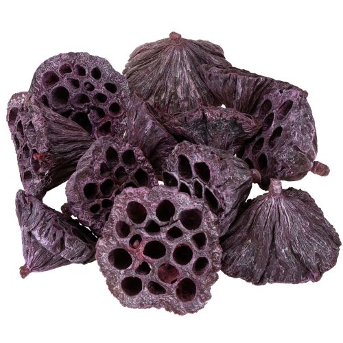 gjenstander Lotus kapsler, tørr blomster, lotus pære rosa, vasket hvit 50 stk.