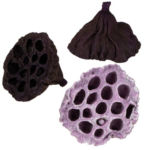 gjenstander Lotus Mix Rosa, Erika Ø6cm - Ø10cm 50 stk