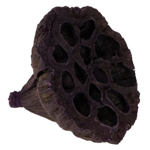 gjenstander Lotus Mix Rosa, Erika Ø6cm - Ø10cm 50 stk