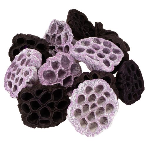 gjenstander Lotus Mix Rosa, Erika Ø6cm - Ø10cm 50 stk