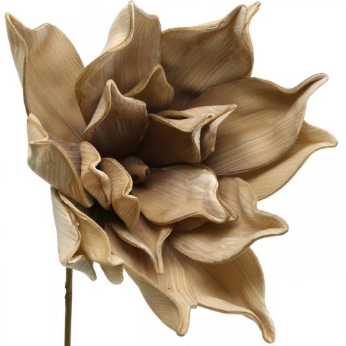 gjenstander Lotusblomst, dekorasjon av lotusblomst, kunstig plante beige L66cm