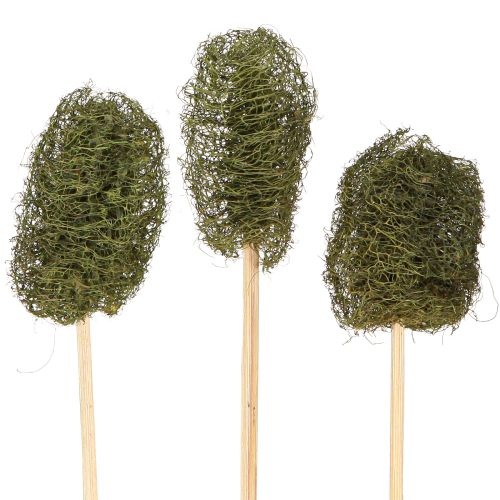 Luffa liten agurk på pinne, mørk grønn, 5-7 cm, 25 stk