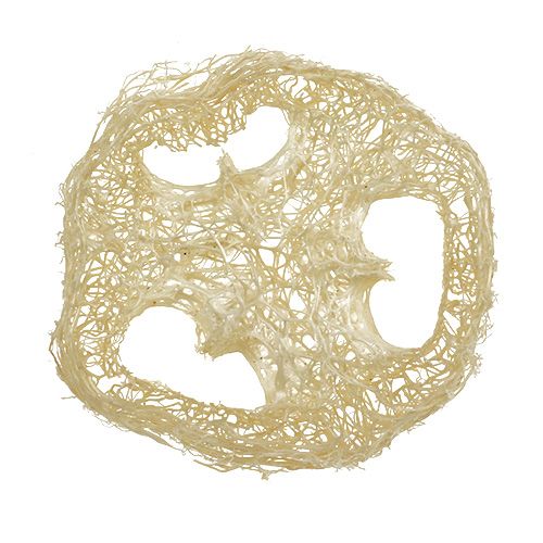 Floristik24 Luffa skiver bleket Ø5cm 48 stk