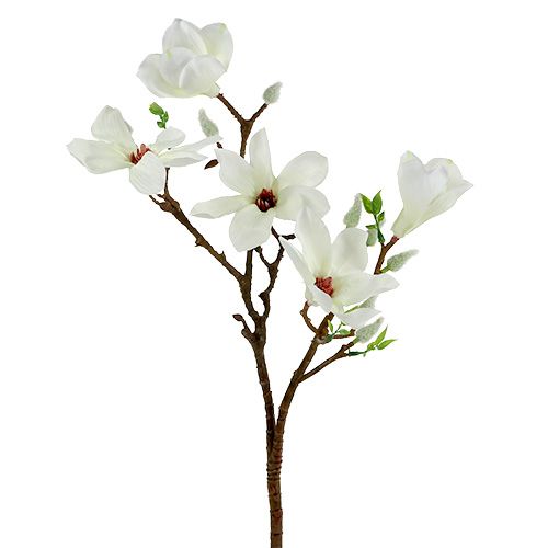 Floristik24 Magnolia hvit 51cm 3stk