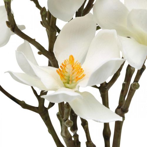 gjenstander Kunstige magnoliakvister hvit deco-gren H40cm 4stk i haug