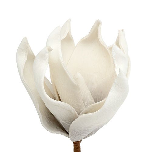 Floristik24 Magnolia blomst av skumgrå, hvit Ø10cm L26cm 4stk