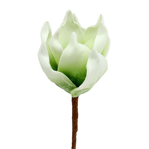 Floristik24 Magnolia blossom laget av skum hvitgrønn Ø10cm L26cm 4stk