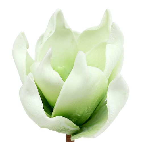 Floristik24 Magnolia blossom laget av skum hvitgrønn Ø10cm L26cm 4stk