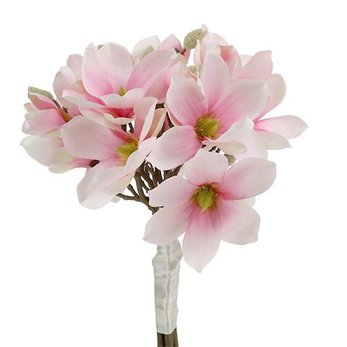 Floristik24 Magnolia haug rosa 40cm 5stk