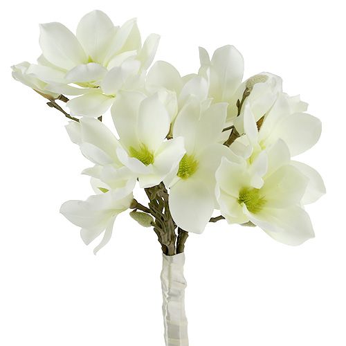 Floristik24 Magnolia bunt hvit 40cm 5stk