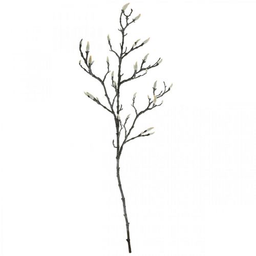 Floristik24 Spring Magnolia Branch Knop Kunstig Gren Brun Hvit L100cm