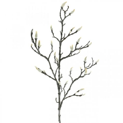 Floristik24 Spring Magnolia Branch Knop Kunstig Gren Brun Hvit L100cm