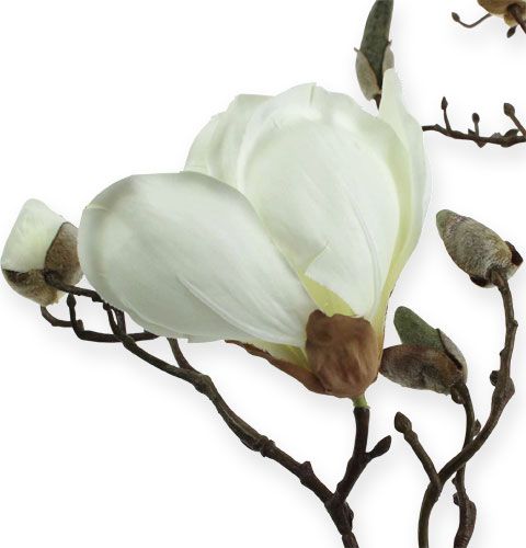 gjenstander Magnolia gren hvit 110cm