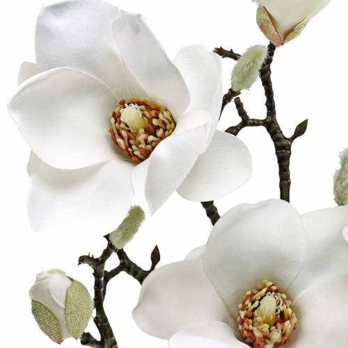 gjenstander Magnolia gren hvit Dekorativ gren magnolia kunstig blomst