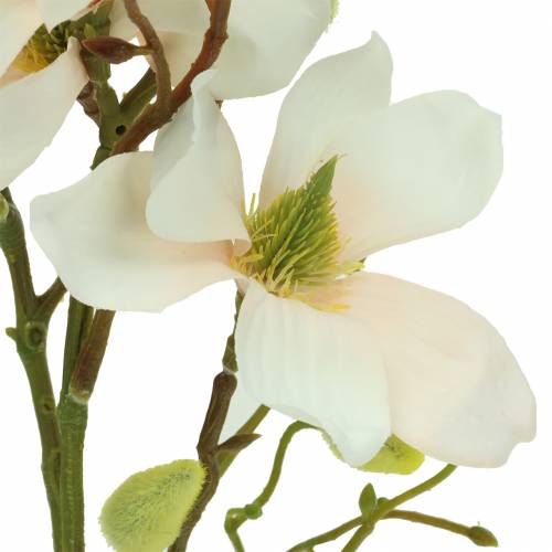 gjenstander Magnolia Peach 85cm