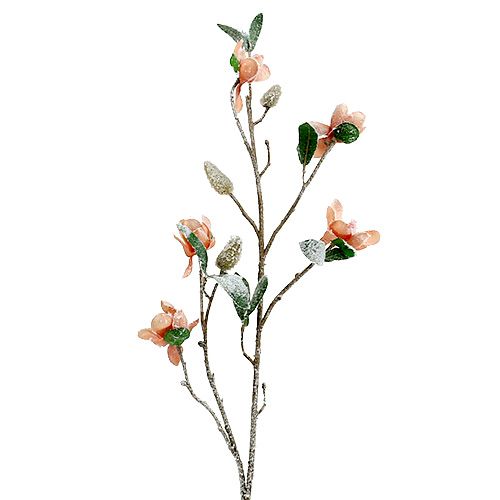 Floristik24 Magnolia gren lysrosa L 82cm