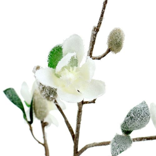 gjenstander Magnolia gren hvit L 82cm med snø