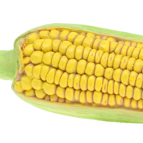 Floristik24 Maiskolbe kunstgrønnsaker 20cm
