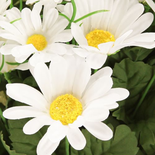 gjenstander Daisy bukett hvit 45cm