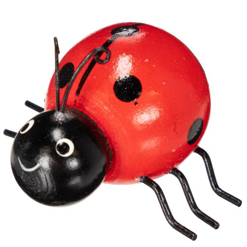 gjenstander Marihøner/lykkebøl i tre som søt dekorasjon til hjemmet, 5 cm, 6 stk.