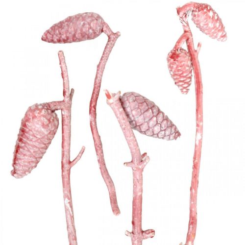 gjenstander Maritim kjegle på gren rosa/hvit vokset 400g