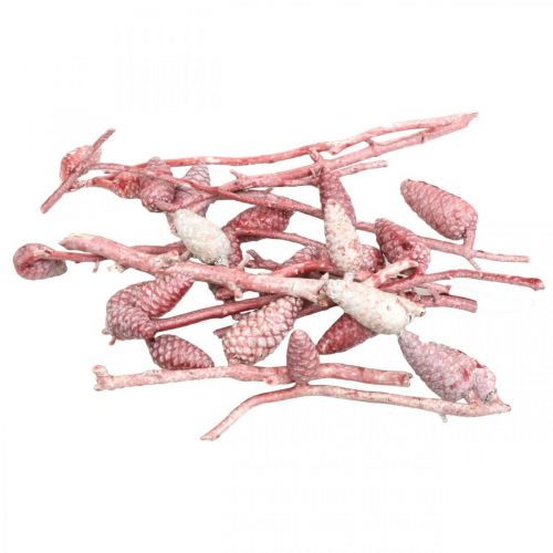 Floristik24 Maritim kjegle på gren rosa/hvit vokset 400g