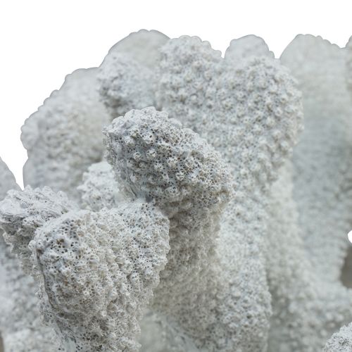 Floristik24 Maritim dekorasjon korall polyresin hvit 38cm × 44cm × 27cm