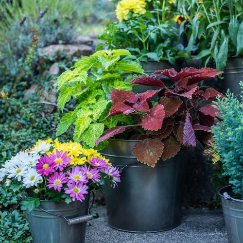 Floristik24 Metallkar, plantebøtte, metalldekor Ø27cm H25cm