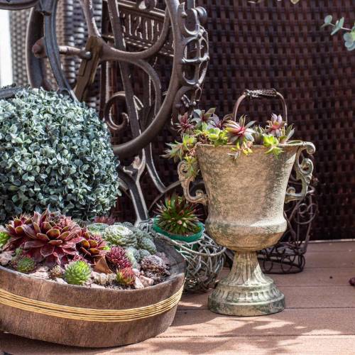 Floristik24 Metalkopp beger mosegrønn beige Ø16cm H24cm