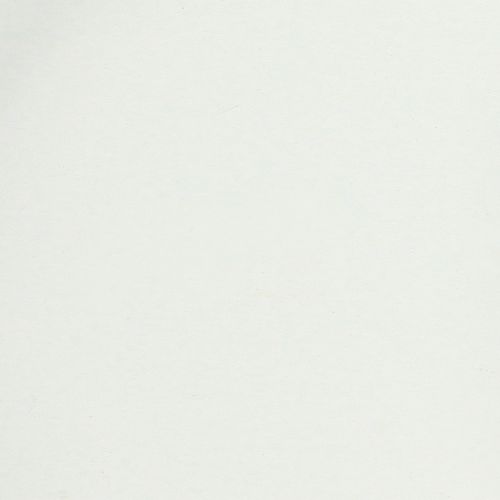 gjenstander Brett med praktiske håndtak for allsidig bruk i hjemmet og cateringbransjen, 22 cm