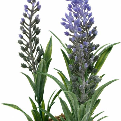 Floristik24 Mini lavendel i potte kunstige planter Kunstig lavendel dekorasjon