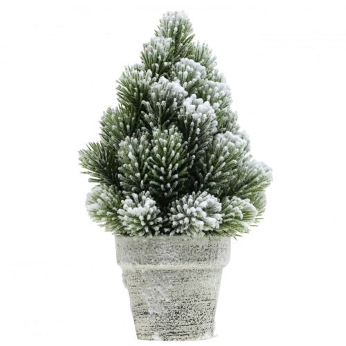 Floristik24 Mini juletre i potte kunstig snødd Ø14cm H24cm