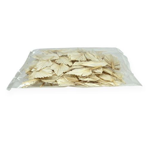 Floristik24 Palmespyd mini kort bleket 50 stk