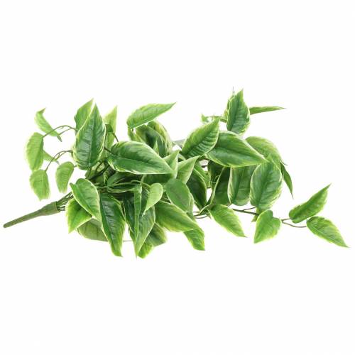 Floristik24 Hvitkantet Funkie kunstgrønn, hvit 100cm