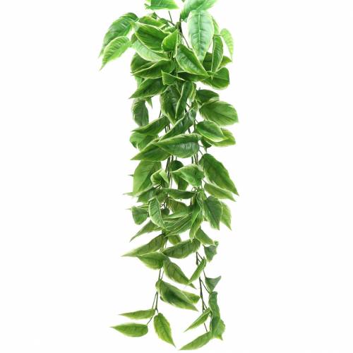 Floristik24 Hvitkantet Funkie kunstgrønn, hvit 100cm