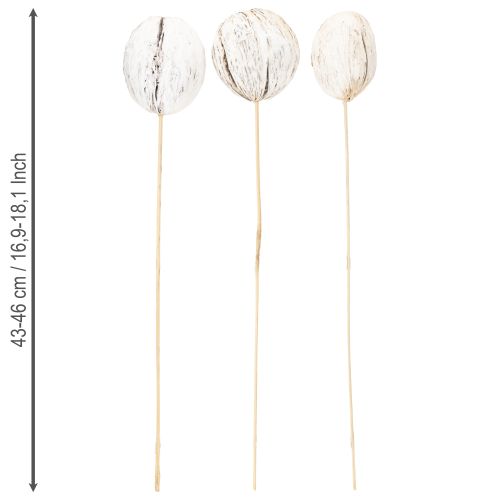 gjenstander Mintolla ball på pinneblanding hvitkalket 6 stk