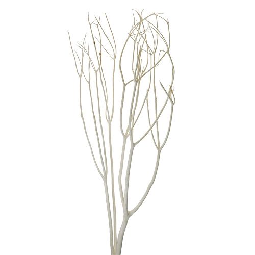 Floristik24 Mitsumata dekorative greiner 115cm bleket 3 stk